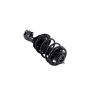 FCS Struts 1333825R Suspension Strut and Coil Spring Assembly