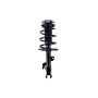 FCS Struts 1333826L Suspension Strut and Coil Spring Assembly