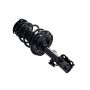 FCS Struts 1333826L Suspension Strut and Coil Spring Assembly