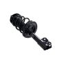 FCS Struts 1333826R Suspension Strut and Coil Spring Assembly