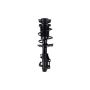 FCS Struts 1333838L Suspension Strut and Coil Spring Assembly