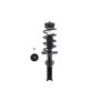 FCS Struts 1333839 Suspension Strut and Coil Spring Assembly