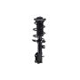 FCS Struts 1333840L Suspension Strut and Coil Spring Assembly