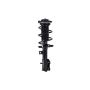 FCS Struts 1333840R Suspension Strut and Coil Spring Assembly