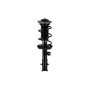 FCS Struts 1333841R Suspension Strut and Coil Spring Assembly