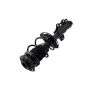 FCS Struts 1333842R Suspension Strut and Coil Spring Assembly