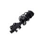 FCS Struts 1333842R Suspension Strut and Coil Spring Assembly