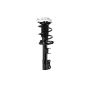 FCS Struts 1333861L Suspension Strut and Coil Spring Assembly