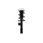 FCS Struts 1333861L Suspension Strut and Coil Spring Assembly