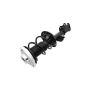 FCS Struts 1333861L Suspension Strut and Coil Spring Assembly