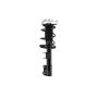 FCS Struts 1333861R Suspension Strut and Coil Spring Assembly
