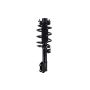 FCS Struts 1333866L Suspension Strut and Coil Spring Assembly