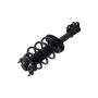 FCS Struts 1333866L Suspension Strut and Coil Spring Assembly