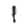 FCS Struts 1333866R Suspension Strut and Coil Spring Assembly