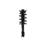 FCS Struts 1333866R Suspension Strut and Coil Spring Assembly