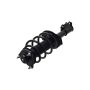 FCS Struts 1333866R Suspension Strut and Coil Spring Assembly