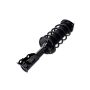 FCS Struts 1333867L Suspension Strut and Coil Spring Assembly