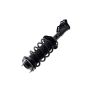 FCS Struts 1333867R Suspension Strut and Coil Spring Assembly