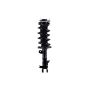 FCS Struts 1333867R Suspension Strut and Coil Spring Assembly