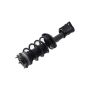 FCS Struts 1333919L Suspension Strut and Coil Spring Assembly