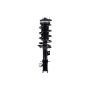 FCS Struts 1333919L Suspension Strut and Coil Spring Assembly