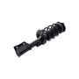FCS Struts 1333919L Suspension Strut and Coil Spring Assembly