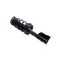 FCS Struts 1333919L Suspension Strut and Coil Spring Assembly