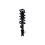 FCS Struts 1333919R Suspension Strut and Coil Spring Assembly