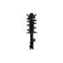 FCS Struts 1333922R Suspension Strut and Coil Spring Assembly