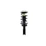 FCS Struts 1333924 Suspension Strut and Coil Spring Assembly