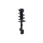 FCS Struts 1333926L Suspension Strut and Coil Spring Assembly