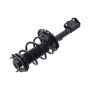 FCS Struts 1333926L Suspension Strut and Coil Spring Assembly