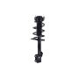 FCS Struts 1333926R Suspension Strut and Coil Spring Assembly