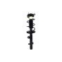 FCS Struts 1333927L Suspension Strut and Coil Spring Assembly