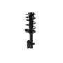 FCS Struts 1333940R Suspension Strut and Coil Spring Assembly