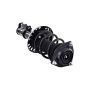 FCS Struts 1333941L Suspension Strut and Coil Spring Assembly