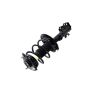 FCS Struts 1333942L Suspension Strut and Coil Spring Assembly