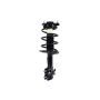 FCS Struts 1333942L Suspension Strut and Coil Spring Assembly