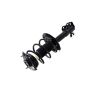 FCS Struts 1333942R Suspension Strut and Coil Spring Assembly