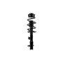 FCS Struts 1333944L Suspension Strut and Coil Spring Assembly