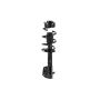 FCS Struts 1333944R Suspension Strut and Coil Spring Assembly