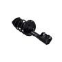 FCS Struts 1333945L Suspension Strut and Coil Spring Assembly