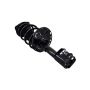 FCS Struts 1333945R Suspension Strut and Coil Spring Assembly