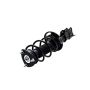 FCS Struts 1333951L Suspension Strut and Coil Spring Assembly
