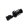 FCS Struts 1333951L Suspension Strut and Coil Spring Assembly