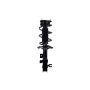 FCS Struts 1333951R Suspension Strut and Coil Spring Assembly