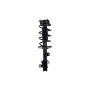 FCS Struts 1333967L Suspension Strut and Coil Spring Assembly