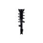 FCS Struts 1333971L Suspension Strut and Coil Spring Assembly