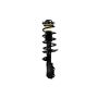 FCS Struts 1333984R Suspension Strut and Coil Spring Assembly