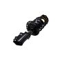 FCS Struts 1333984R Suspension Strut and Coil Spring Assembly
